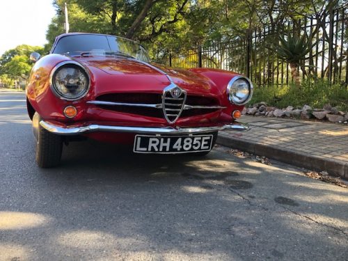 1964 Alfa Romeo Giulia SS