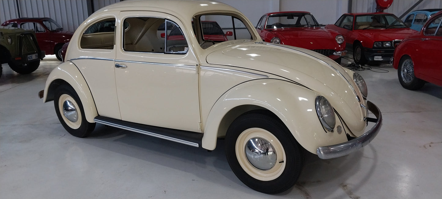 1956 VW Beetle Oval