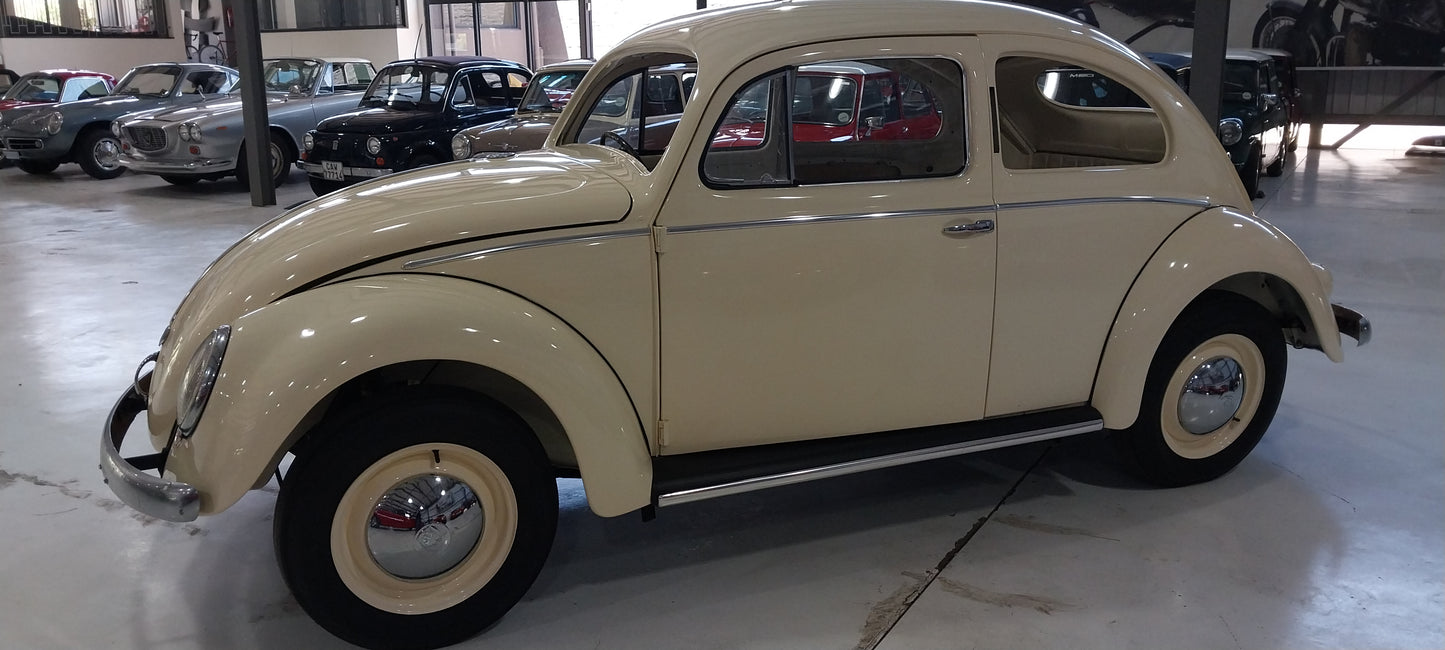 1956 VW Beetle Oval