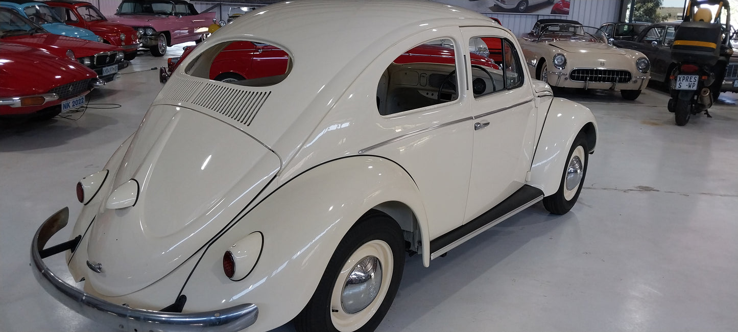 1956 VW Beetle Oval