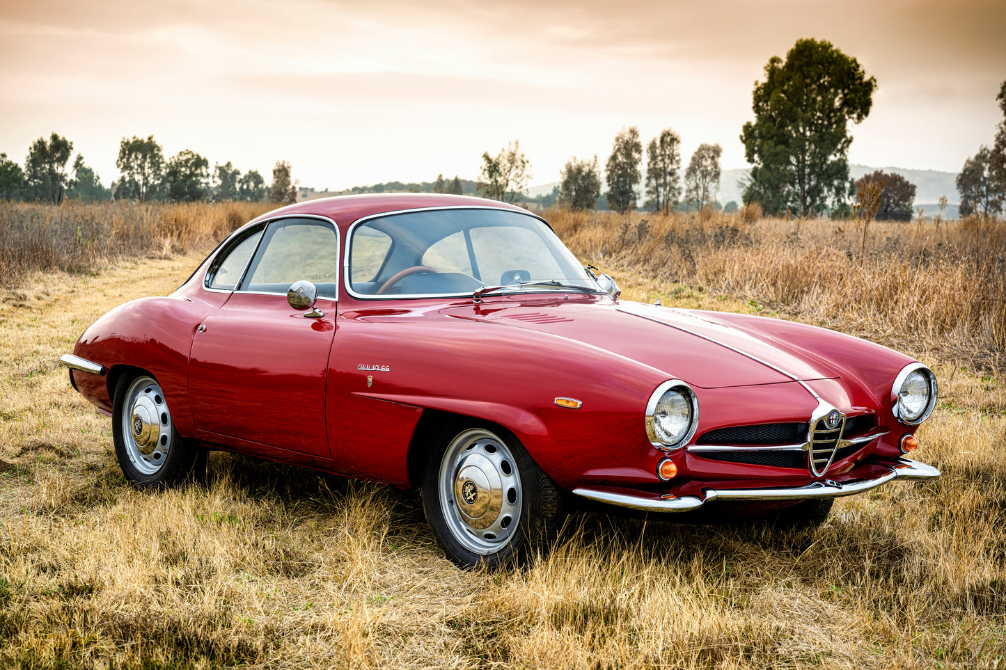 1964 Alfa Romeo Giulia SS