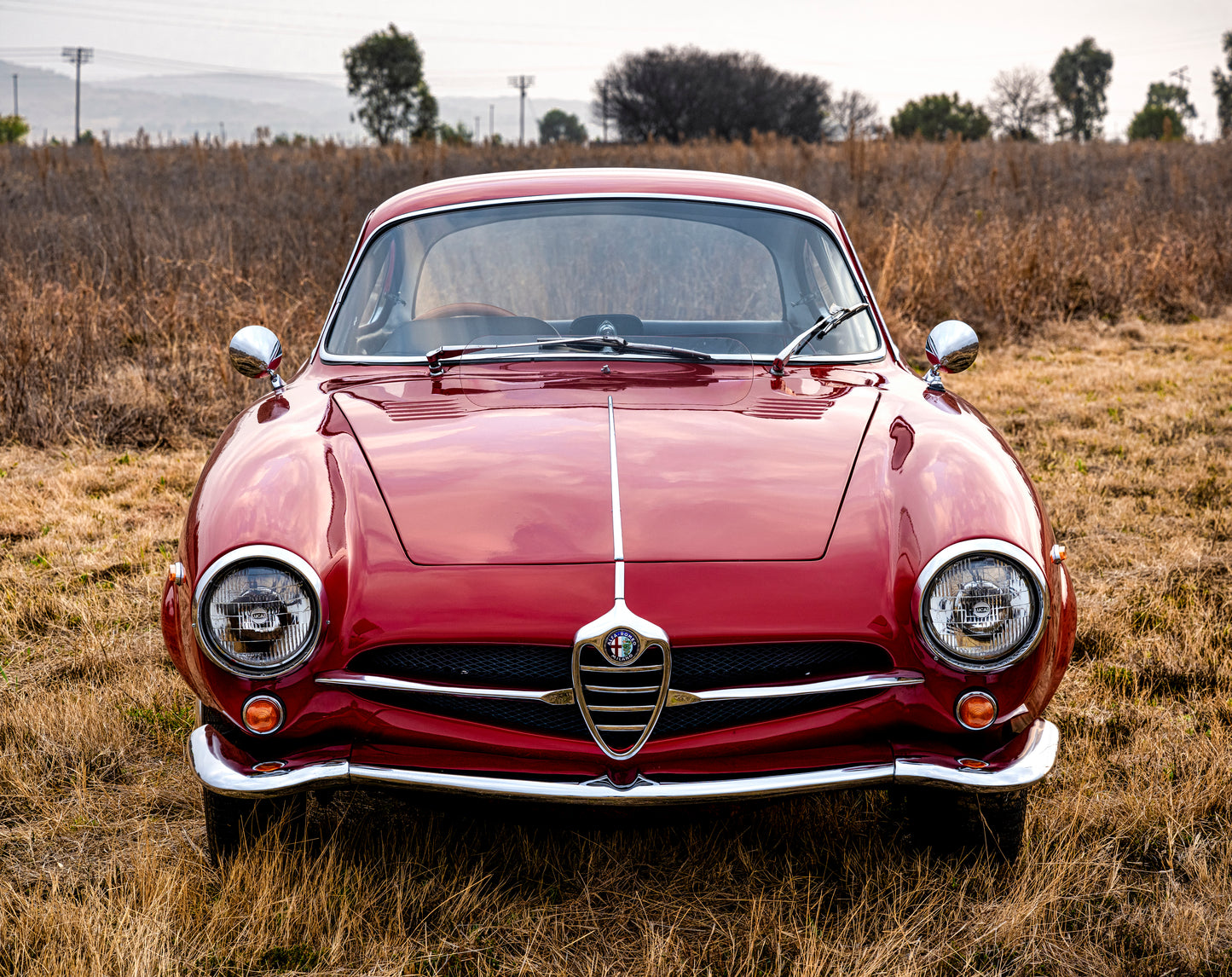 1964 Alfa Romeo Giulia SS